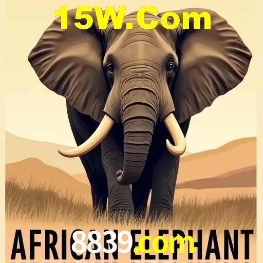 Interface Premium 8839.com
